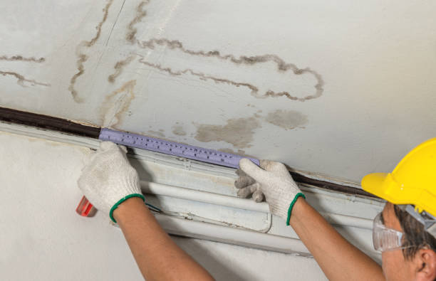 Reliable Mold Remediation contractor in Belhaven, NC by Water Damage Irwin